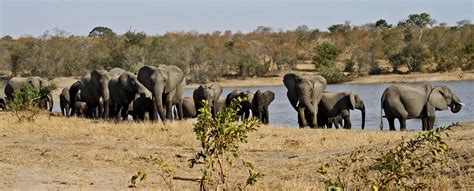 Kruger National Park Limpopo South Africa Best Time To Visit Kruger