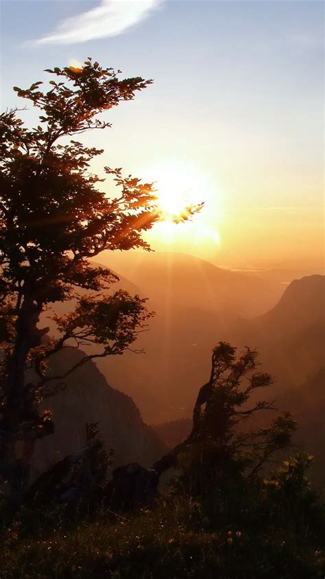 山，日出，太阳光线，树木，早晨，天空 750x1334 Iphone 8766s 壁纸，图片，背景，照片