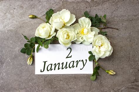 January 2nd Day 2 Of Month Calendar Date White Roses Border On
