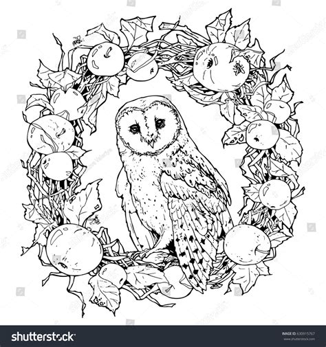 Barn Owl Coloring Pages Coloring Pages Kids 2019