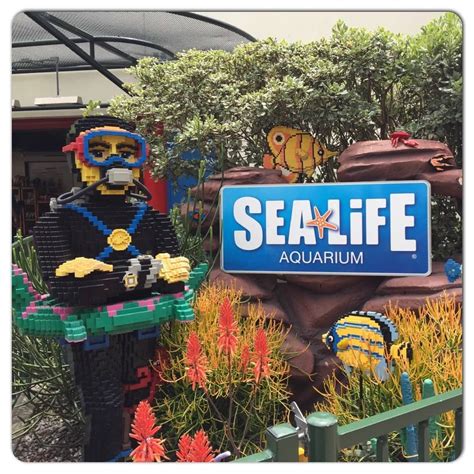 A Preview Of Whats To Come At Legoland California In 2016 Socal