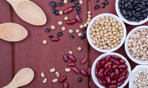 how to sprout and soak beans to maximize health benefits azure standard