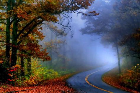The Bend Of Autumn Mist Autumn Landscape Scenic Views Mists