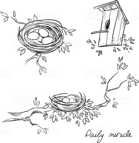 Hand Drawn Nests And A Birdhouse Line Drawing How To Draw Hands