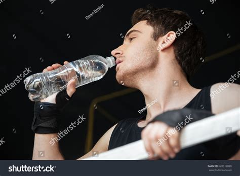 Low View Boxer Drinking Water Enjoyment Stock Photo 628612028