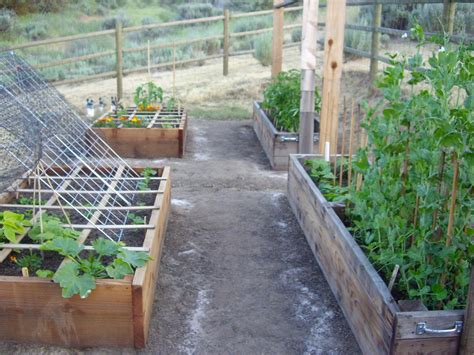 Homestead Revival Benefits And Construction Of Raised Beds For