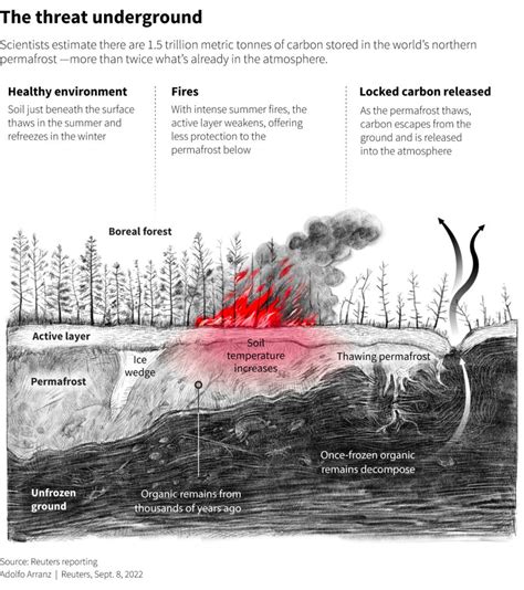 Why Arctic Wildfires Are Releasing More Carbon Than Ever Arctictoday