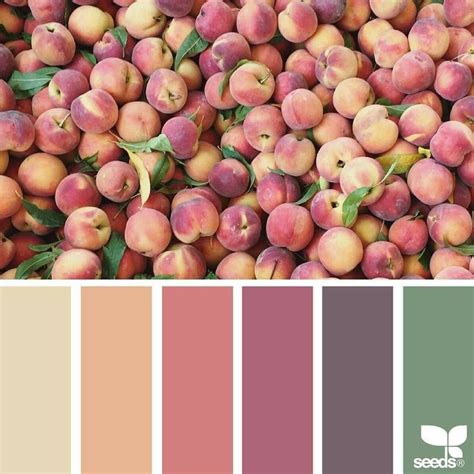 Peaches Seeds Color Color Palette Design Color Schemes Colour Palettes