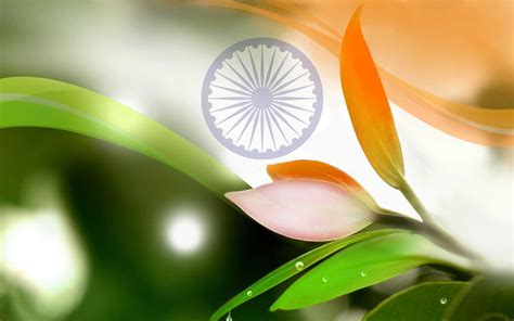 Indian National Flag Backgrounds Nature Wallpaper Cave
