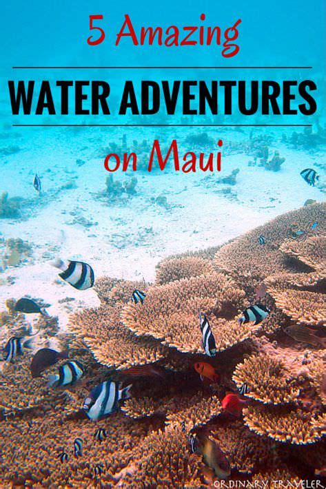 Five Amazing Water Adventures On Maui Ordinary Traveler