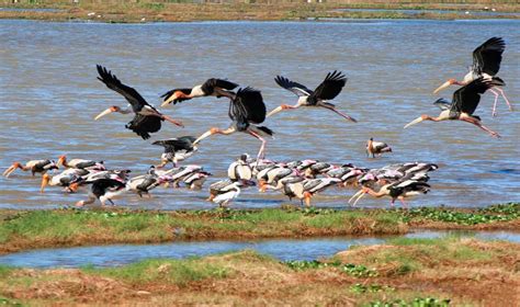 Kumana National Park East Coast Activities Red Dot Tours