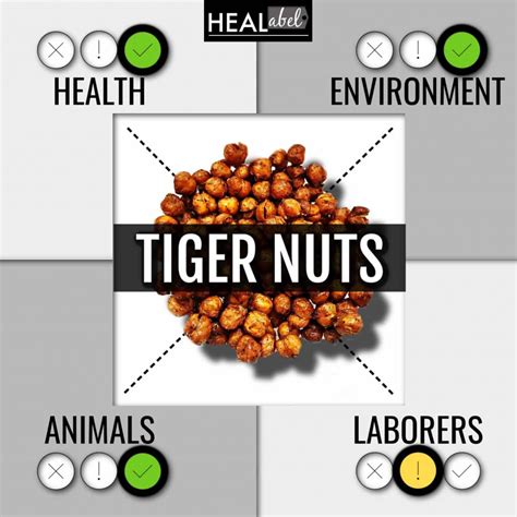 Top Tiger Nut Benefits Side Effects