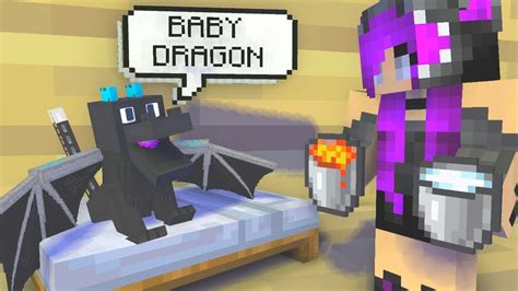 Monster School Baby Dragon Minecraft Animation Youtube