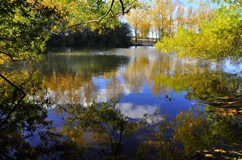 무료 이미지 경치 나무 자연 숲 황야 햇빛 아침 잎 가을 꽃 호수 강 못 흐름 시골의 반사