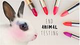 Animal Makeup Testing Images