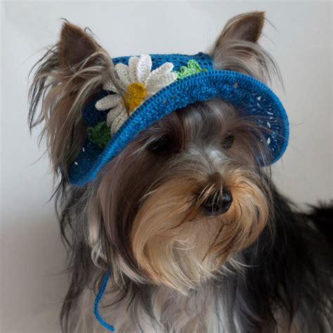 Hat For Dogs Daisy Crochet Dog Hat Dog Party