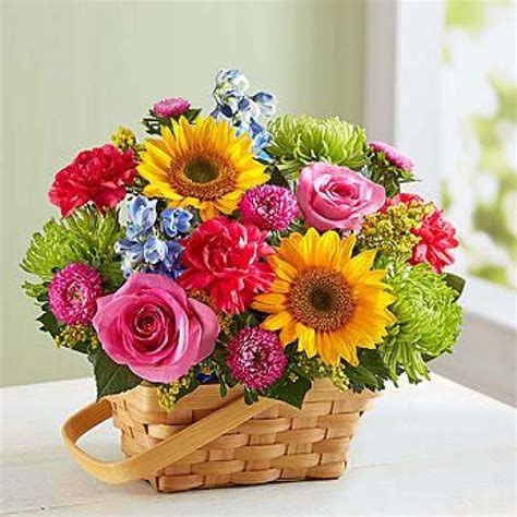 Dillon Flowers Bridgeport Ct Best Flower Site