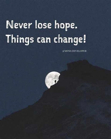 Top 2 Never Lose Hope Quotes And Sayings