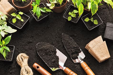 Garden tools, planters, raised garden beds +more | gardener's supply. Smarts Quarter's Communal Eco Garden - Green Spinnaker
