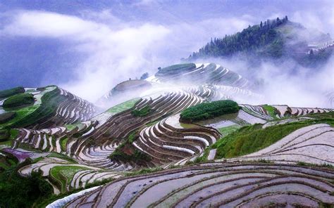 Most Beautiful Terraced Rice Fields The Wow Style