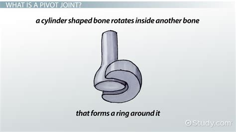 Pivot Joint Neck