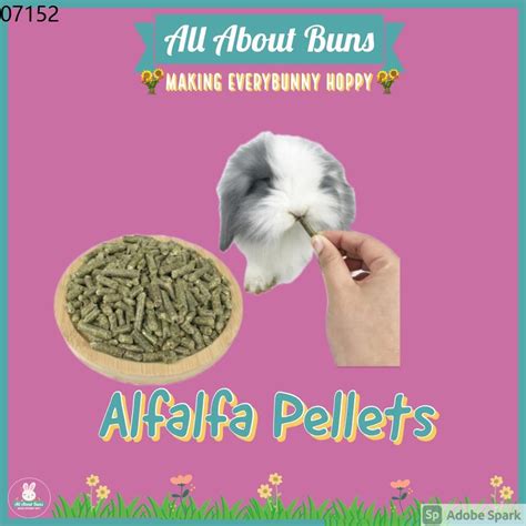 Pellet Original Alfalfa Pellets For Young Rabbitshamsterguinea Pig