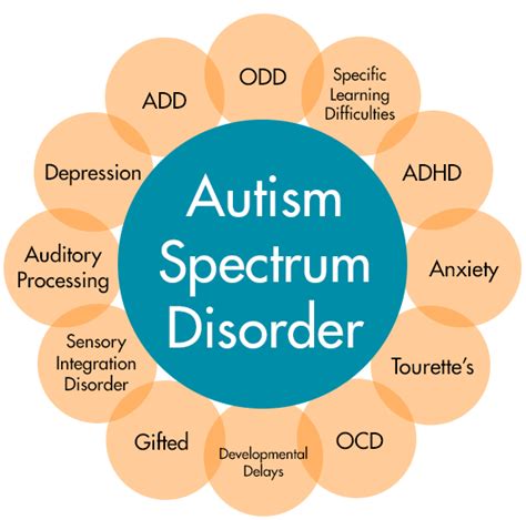 Undiagnosed Aspergers Signs And Symptoms In Adults