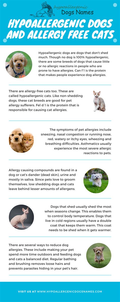 If you like low shedding & kid friendly cats, you might love these ideas. Hypoallergenic Dogs and Allergy Free Cats in 2020 ...