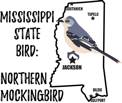 Mississippi State Bird Bird Watching Academy