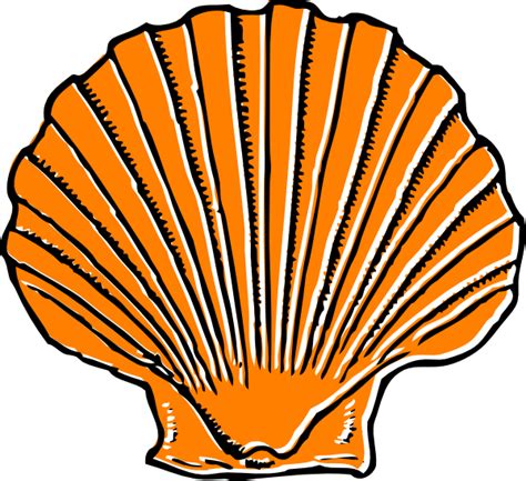 Cartoon Sea Shell Clipart Best