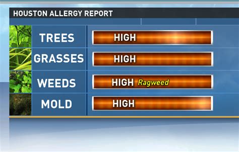 Achooo It S Ragweed Season Khou