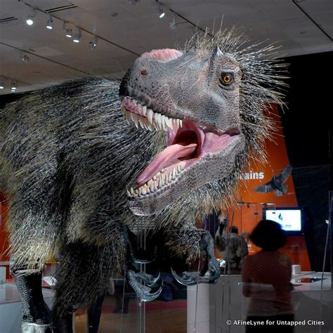 American Museum Of Natural History Dinosaur