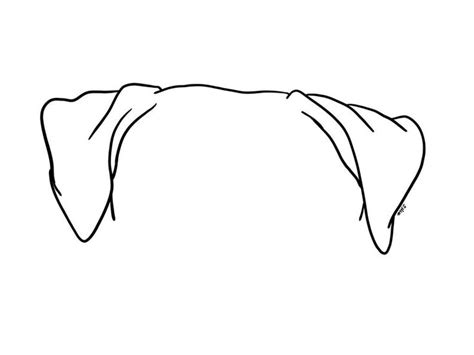 Pet Ear Outline Drawing Dog Ear Drawing Cat Ear Drawing Pet Ear