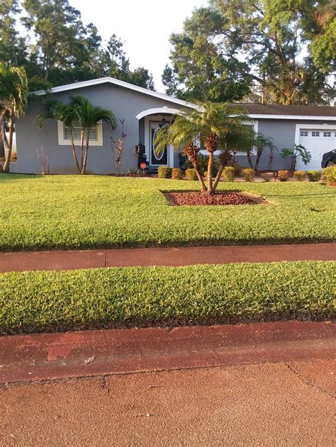 04/03/2021 what kind of location is this?: Buzzybeeslandscaping Lawn Care Services in Tampa