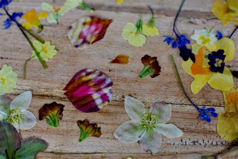 Craft Ideas For Kids Pressed Flower Art Conscious Craft