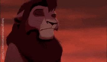Lion King Gifs Find Share On Giphy
