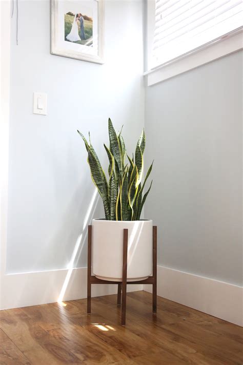 Growing your own plants, flowers and vegetables can be a fun and exciting hobby. Large Mid Century Modern Planter with Plant Stand 12 ...