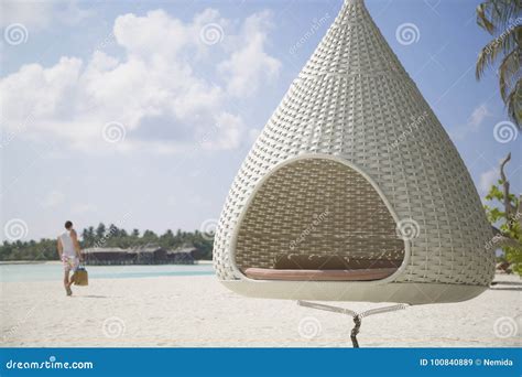 Cocoon Hammock In The Beach In The Maldives Stock Image Image Of