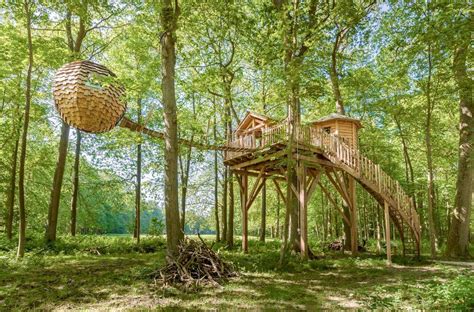 Most Amazing Treehouse Designs In The World
