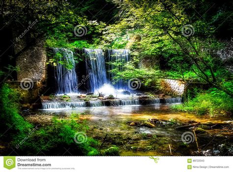 Waterfall Surrounded By Trees With Vivid Green Leaves In A