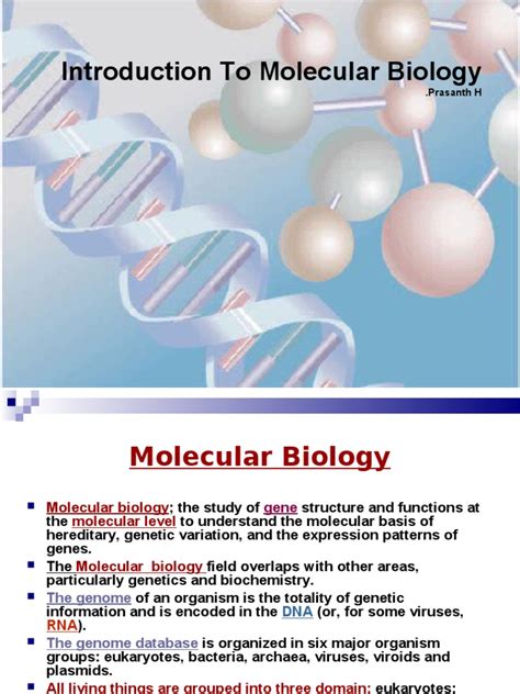 Introduction To Molecular Biology Directionality Molecular Biology