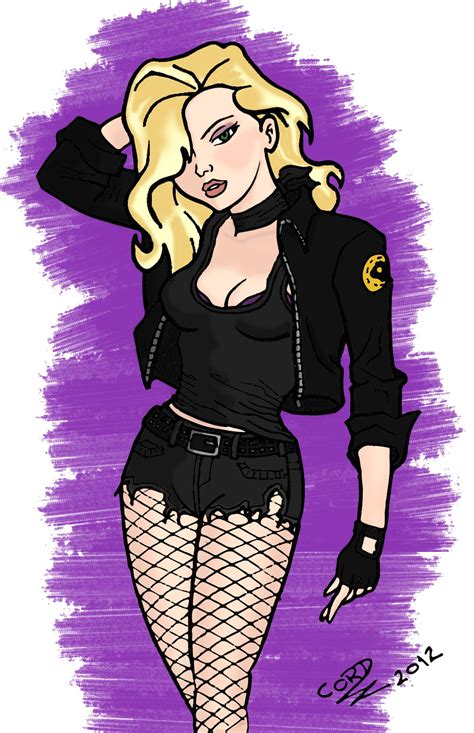 black canary redesign fernando lopes based on the art of bruce timm bruce timm black canary