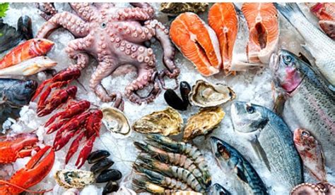 لمحبي المأكولات البحرية تقرير يحذر من المخاطر البيئية ضريح الشهيد
