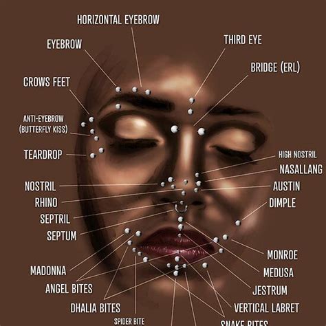 Facial Piercing Infographic Chart Piercing Chart Ear Piercings Chart