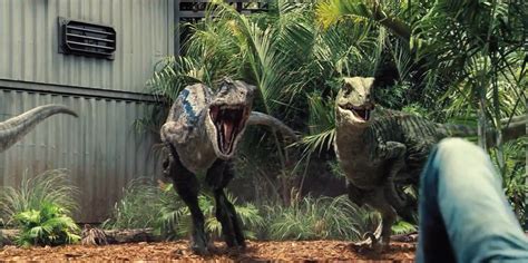 Image Jurassic World Velociraptors 2png Jurassic Park Wiki