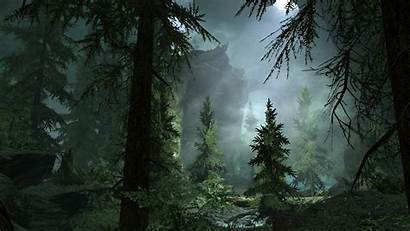 Forest Skyrim Fog Cave Foggy Backgrounds Trees