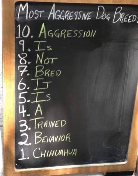 Top 10 Most Aggressive Dog Breeds 9gag