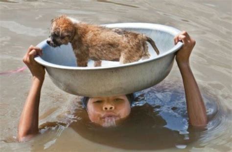 The Special Relationship Between Humans And Animals 26 Photos Funcage