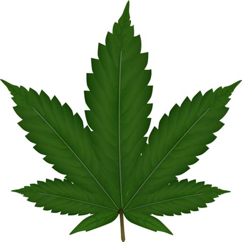 Cannabis Indica Blatt Weedin