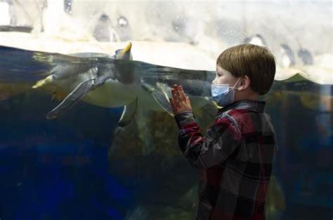Tennessee Aquarium Adding Additional Hours In May